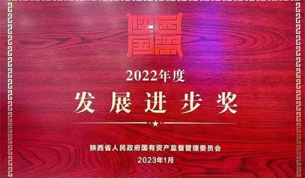 陜外集團(tuán)榮獲陜西省國資系統(tǒng)2022年度“發(fā)展進(jìn)步獎(jiǎng)”